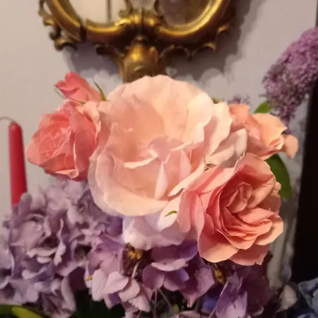 Il Nido Del Pettirosso Bed and Breakfast