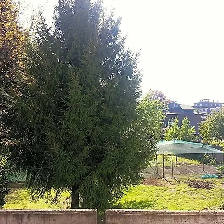 Il Nido Del Pettirosso