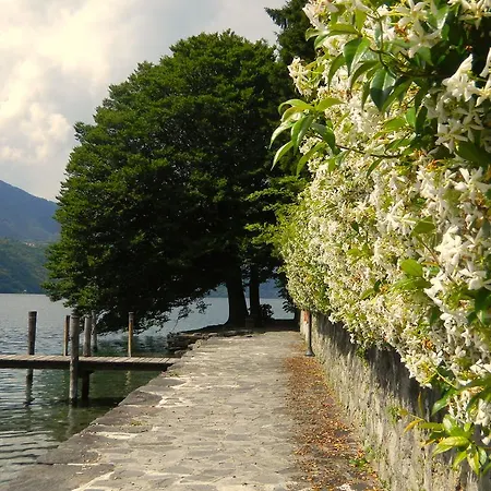 Il Nido Del Pettirosso Borgomanero