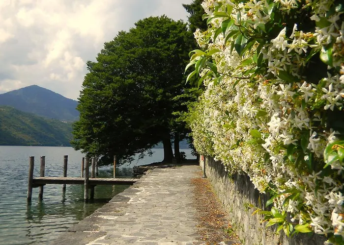 Il Nido Del Pettirosso Borgomanero